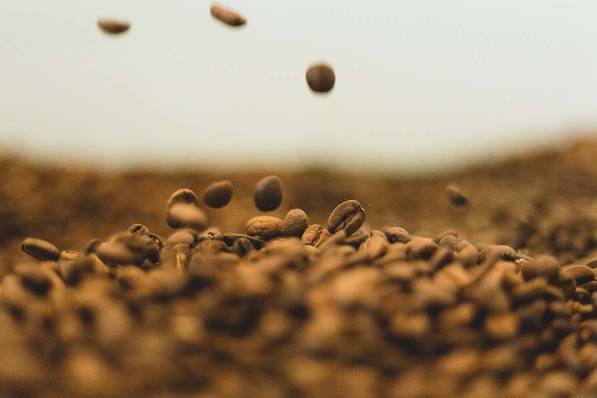 lux* south ari atoll bunch of coffee beans maldives